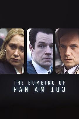 麻花视频《泛美航空103航班爆炸案 The Bombing of Pan Am 103》免费在线观看