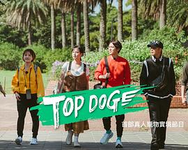 麻花星空视频《TOP DOG》免费在线观看