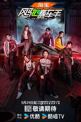 麻花视频《风驰赛车手》免费在线观看