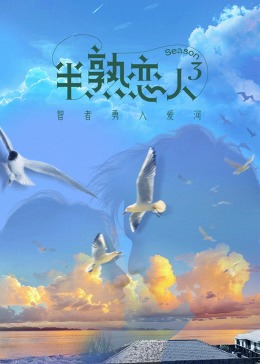 麻花星空视频《半熟恋人 第三季》免费在线观看