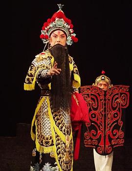 麻花视频《袁崇焕2009》免费在线观看