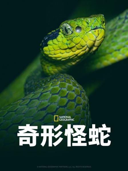 麻花视频《奇形怪蛇》免费在线观看